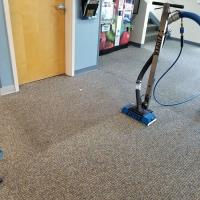 Portland NW Carpet Cleaning image 4